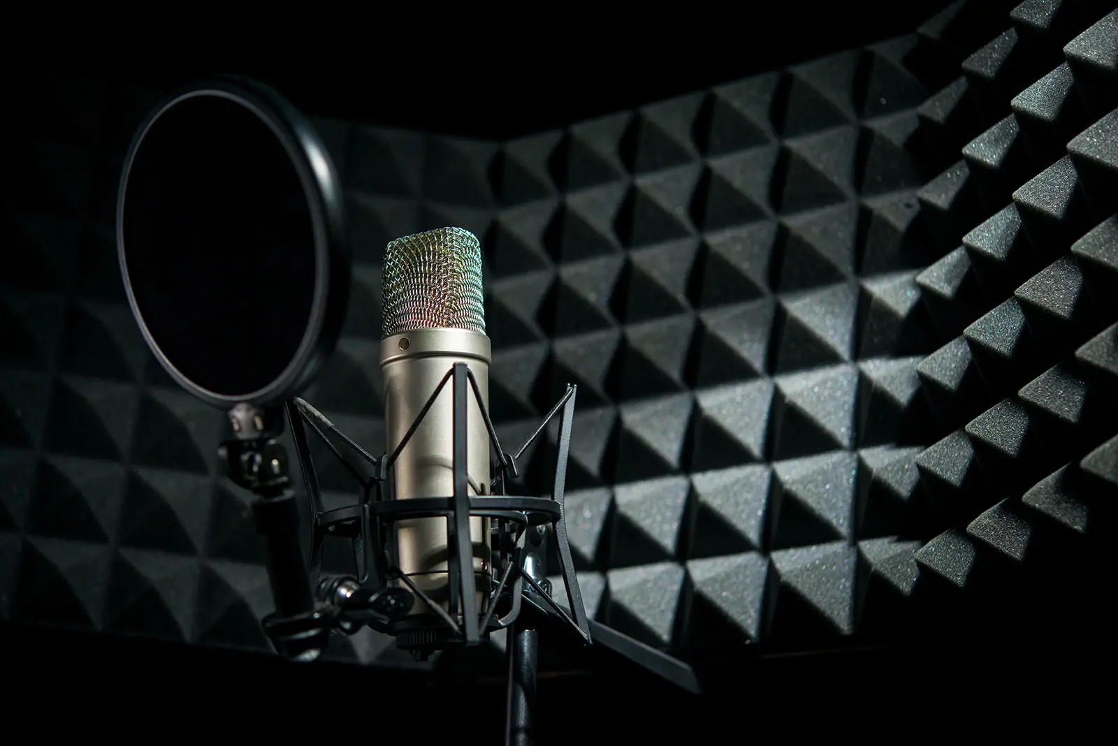 Vocal Removal and Audio Analysis Tool